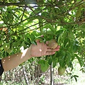 IMG_0035.JPG