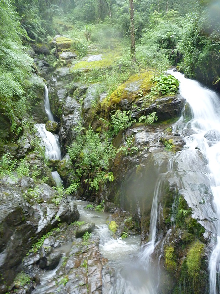 P1010217.JPG