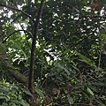 IMG_0067.JPG
