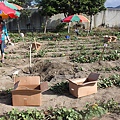 IMG_0149.JPG
