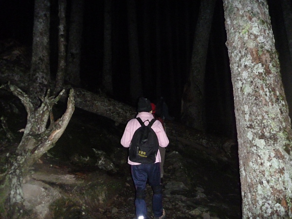 P1010720.JPG
