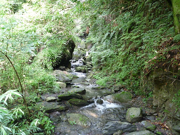 P1010251.JPG