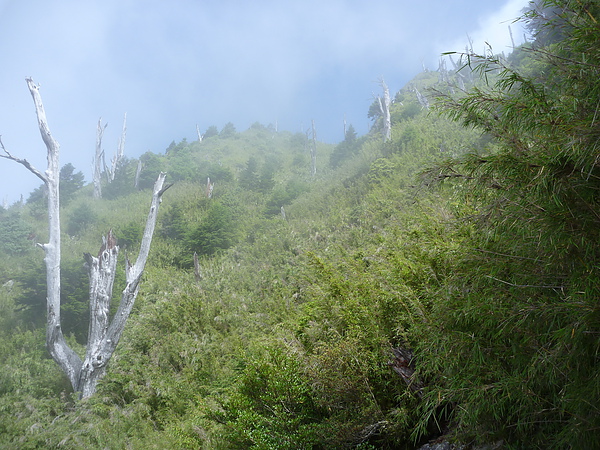 P1010530.JPG