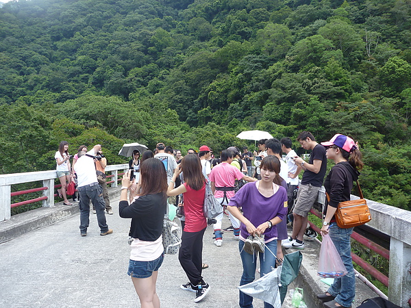 P1020150.JPG