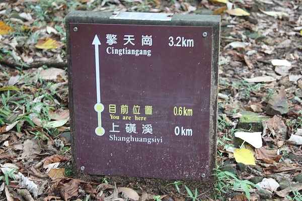 IMG_0070.JPG