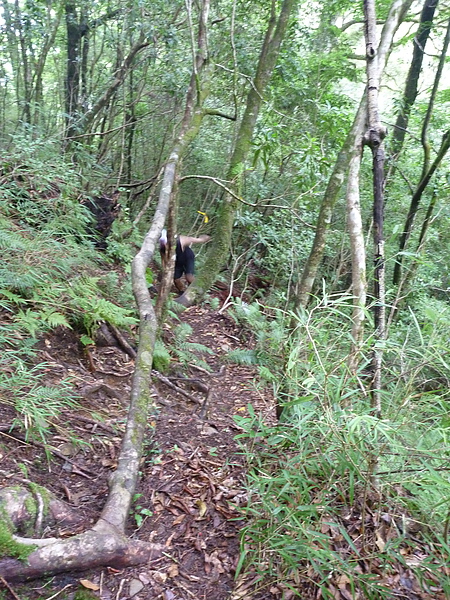 P1010269.JPG