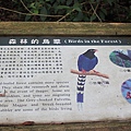 IMG_0065.JPG