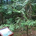 IMG_0056.JPG