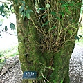 IMG_0087.JPG