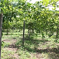IMG_0036.JPG