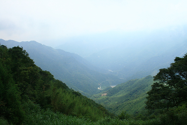 IMG_0005.JPG