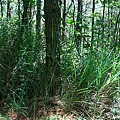 IMG_0041.JPG