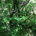 IMG_0065.JPG