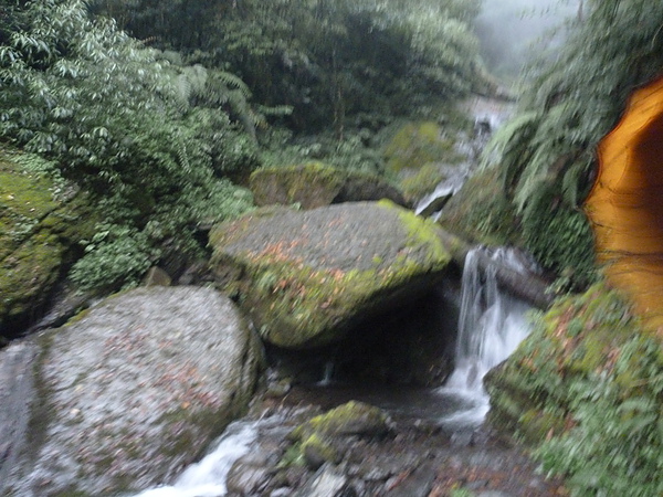 P1010194.JPG