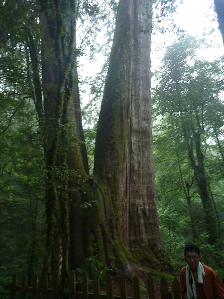 P1010185.JPG