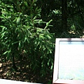 IMG_0050.JPG