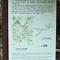 IMG_0062.JPG