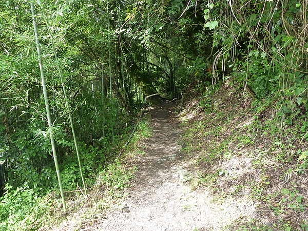 P1010249.JPG