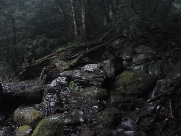 P1010242.JPG