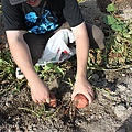 IMG_0156.JPG