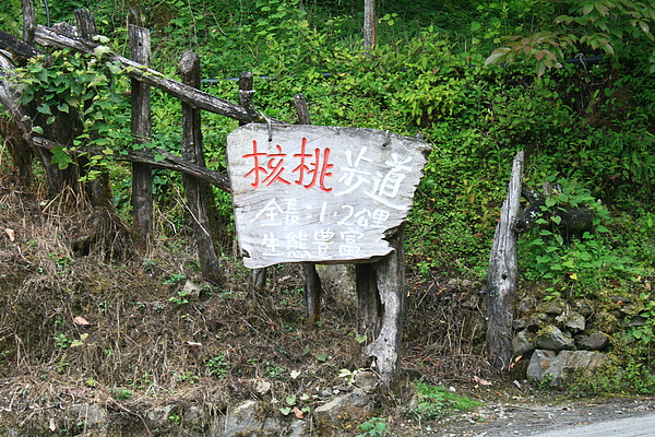 IMG_0017.JPG
