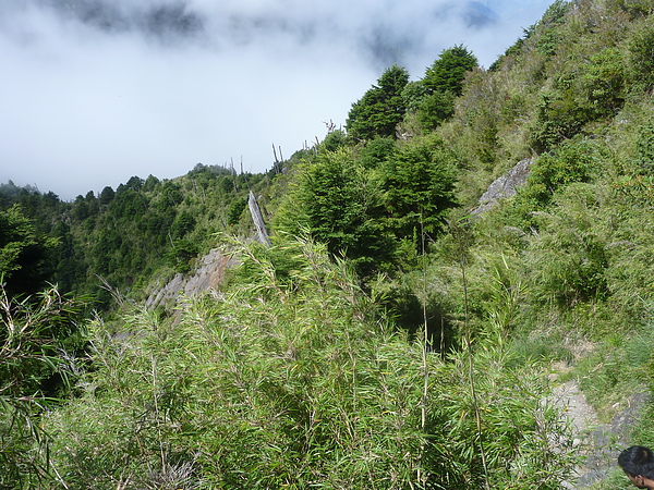 P1010529.JPG