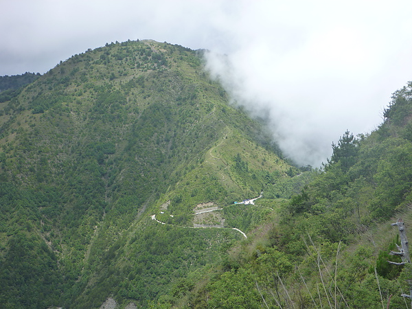 P1010540.JPG