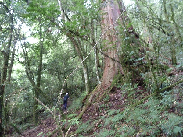 P1010271.JPG