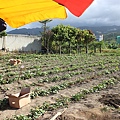 IMG_0148.JPG