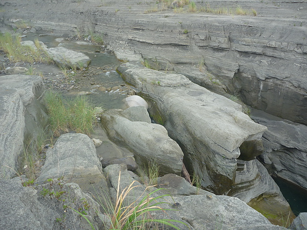 P1010100.JPG