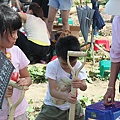IMG_0115.JPG