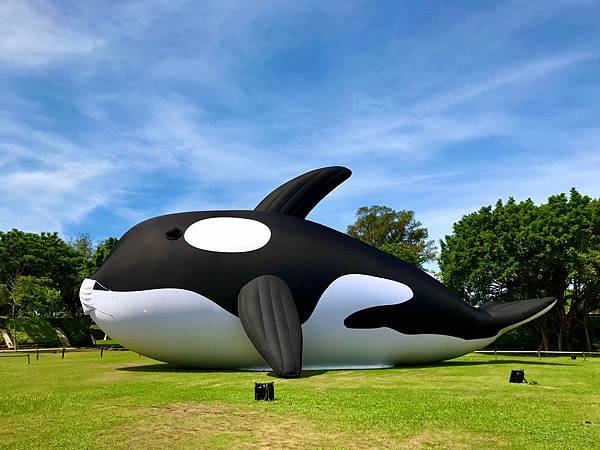 安平虎鯨夜 (2).jpg