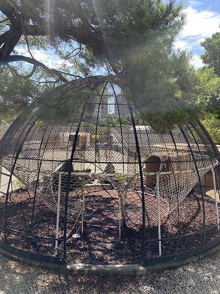 新竹東區親子景點，文青新竹市立動物園，來看超可愛大嘴河馬樂樂