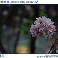 20100306-070722-001.JPG