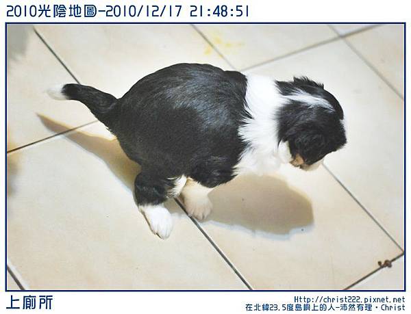 20101217-214851-001.JPG
