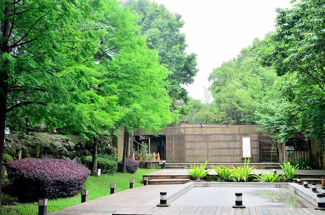 泡湯出去看山林 泡湯出去看山林