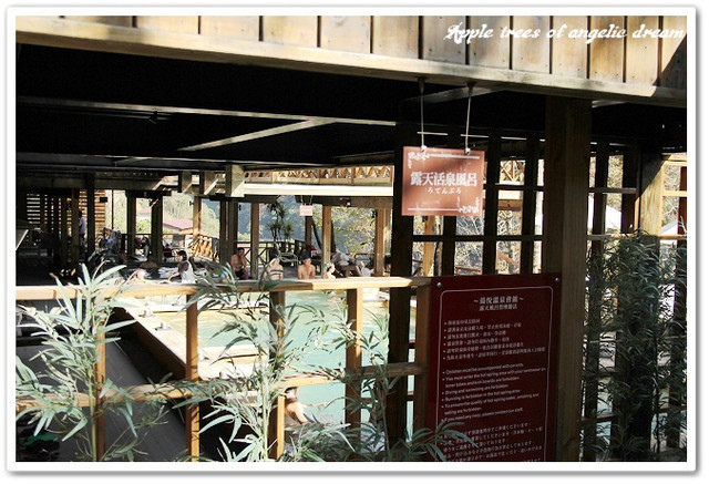 泰安湯悅溫泉會館-大眾池 泰安湯悅溫泉會館-大眾池