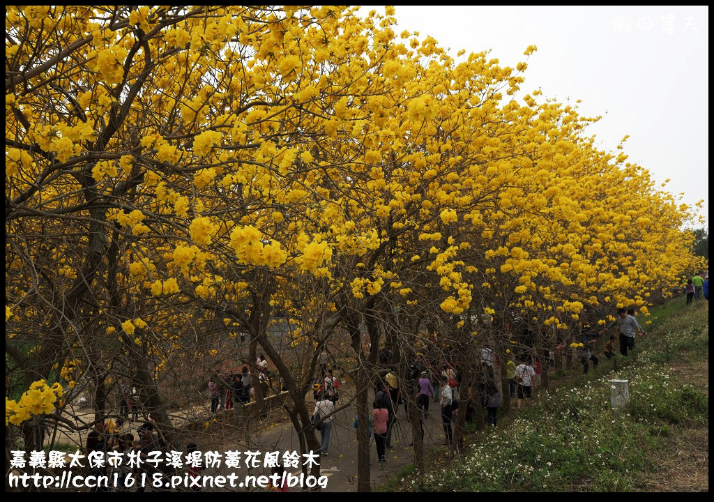 16554724980_1a25bb3a82_b.jpg 16554724980_1a25bb3a82_b.jpg