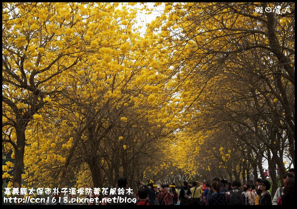 16554724690_08fda6e9cd_b.jpg 16554724690_08fda6e9cd_b.jpg