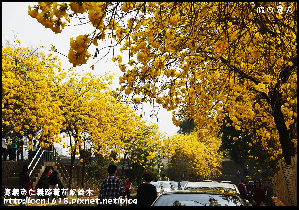 16119948104_8cd51a014d_b.jpg 16119948104_8cd51a014d_b.jpg