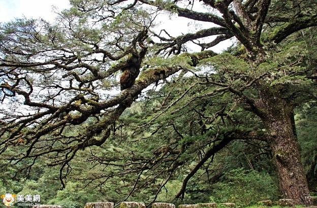 玉山國家公園