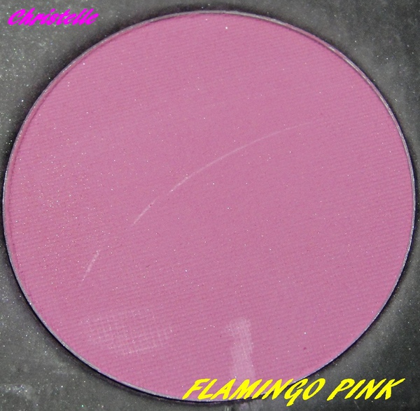 FLAMINGO PINK.jpg