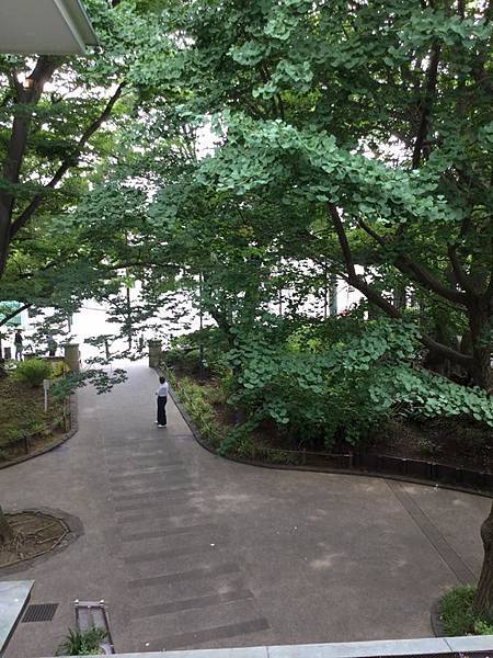 070807.jpg 070807.jpg