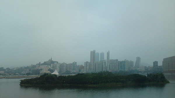 20100419225.JPG