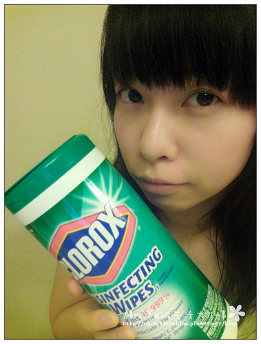 CLOROX 高樂氏居家殺菌濕紙巾24.jpg