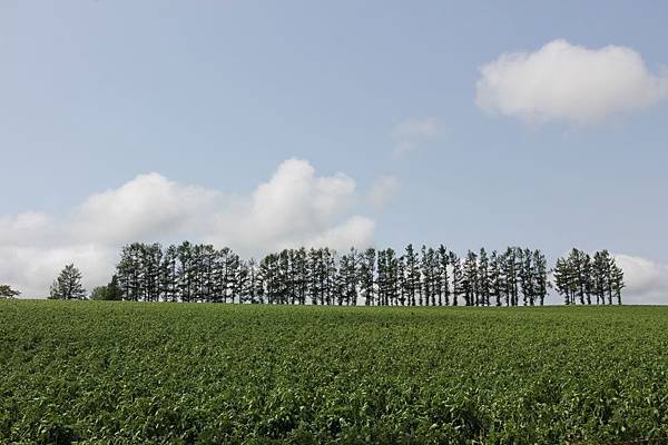 IMG_7515 IMG_7515