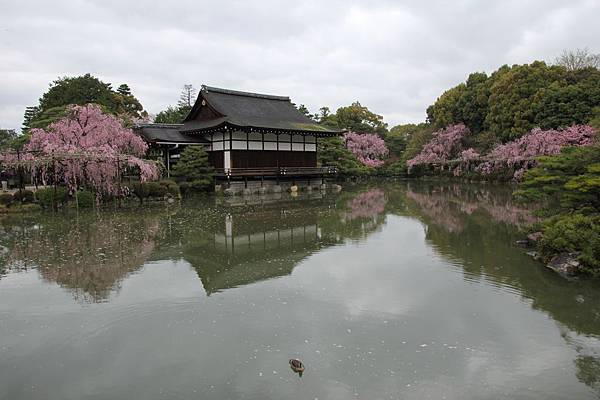 關西自助旅行 京都平安神宮 來 神苑 欣賞嬌媚動人的八重紅枝垂櫻 克莉絲汀的美好時光 痞客邦 關西自助旅行 京都平安神宮 來 神苑 欣賞嬌媚動人的八重紅枝垂櫻 克莉絲汀的美好時光 痞客邦