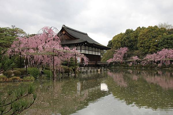 關西自助旅行 京都平安神宮 來 神苑 欣賞嬌媚動人的八重紅枝垂櫻 克莉絲汀的美好時光 痞客邦 關西自助旅行 京都平安神宮 來 神苑 欣賞嬌媚動人的八重紅枝垂櫻 克莉絲汀的美好時光 痞客邦