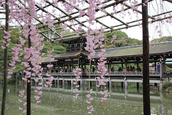 關西自助旅行 京都平安神宮 來 神苑 欣賞嬌媚動人的八重紅枝垂櫻 克莉絲汀的美好時光 痞客邦 關西自助旅行 京都平安神宮 來 神苑 欣賞嬌媚動人的八重紅枝垂櫻 克莉絲汀的美好時光 痞客邦