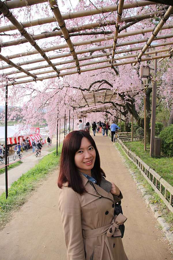 關西自助旅行 京都賀茂川枝垂櫻隧道 半木之道 百年洋食老店 東洋亭 克莉絲汀的美好時光 痞客邦